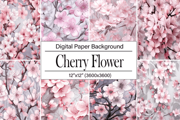 Download Cherry Blossoms Flower - Blossoms Collection