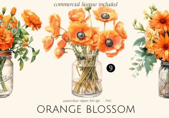Download Orange Blossom Flowers in Jars - Premium Resources