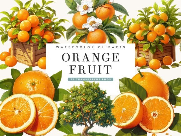 Download Watercolor Italy Orange Fruit Clipart - Premium Resources